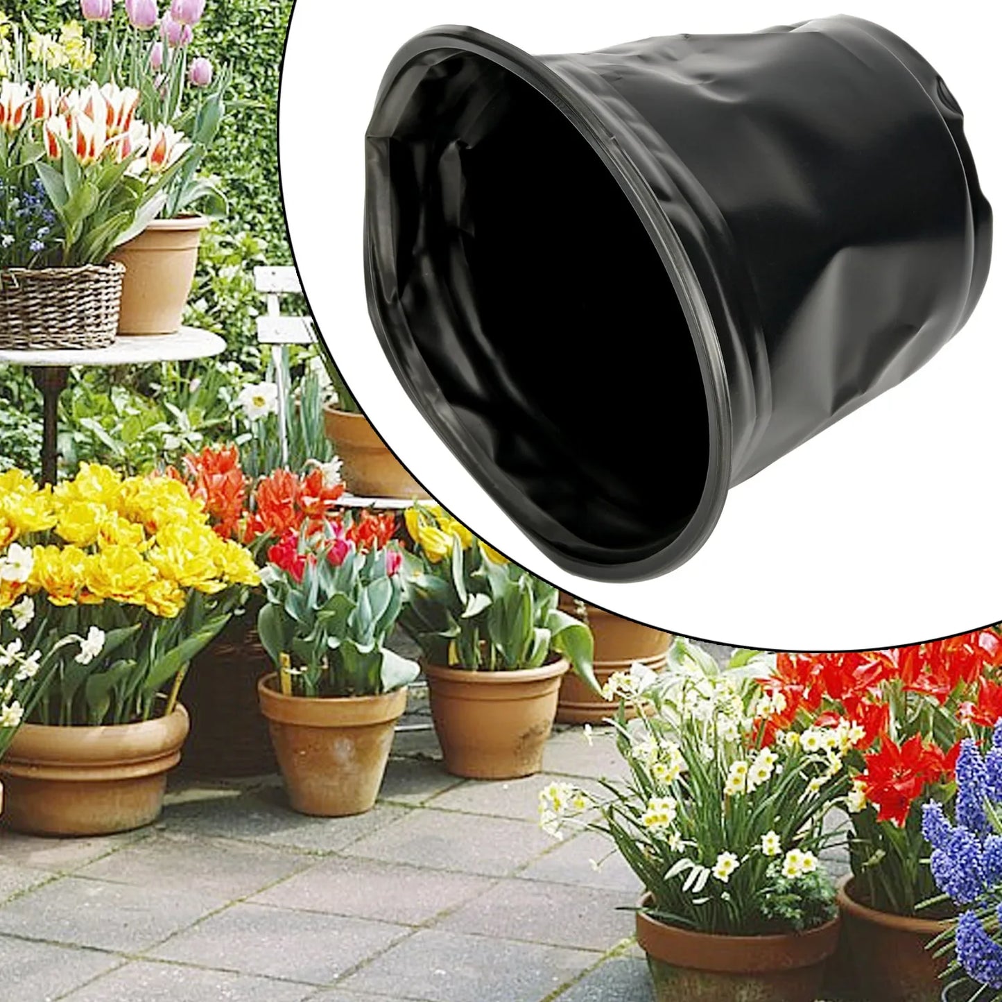 Black Plastic Flower Pot Designed for Aloe Vera Bonsai Orchid Pothos Snake Plant Succulent Herbs Mint Tulip and Daisy Plants