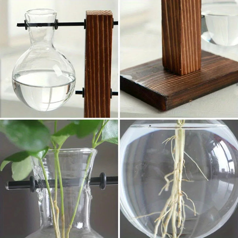 Hydroponic Glass Vase, Vintage Desktop Plant Terrarium Planter Bulb