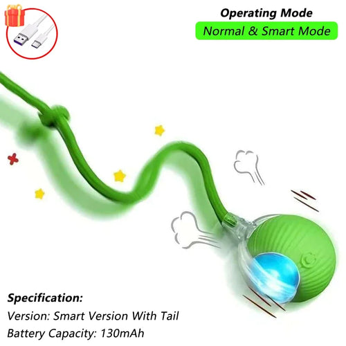 Indoor Interactive Birds Toy for Cat Chasing Teasing Toy Sounding