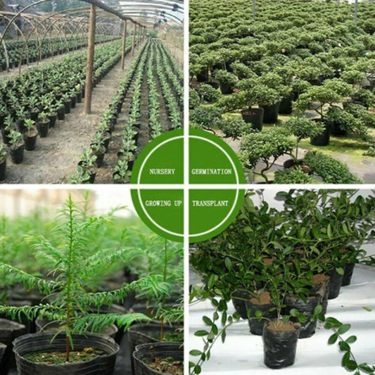 100 Piece Plant Pots for Indoor Outdoor Gardening with Drainage Holes and Breathable Plastic for Optimal Root Environment