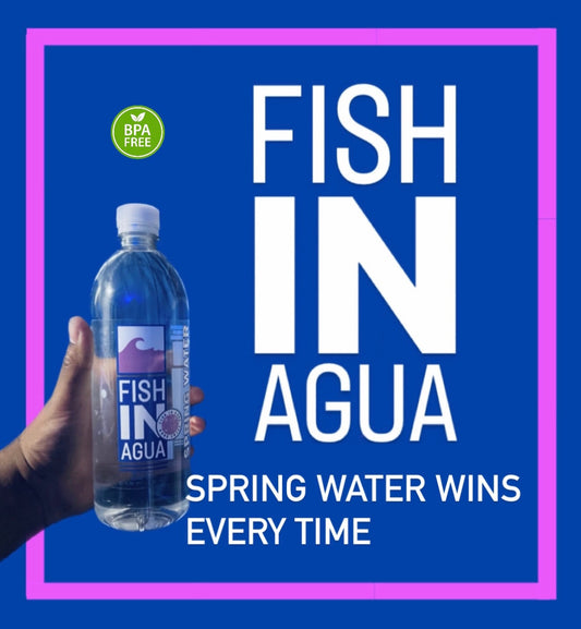 FISHINAGUA Bottled Natural Spring Water 23.7 FL OZ