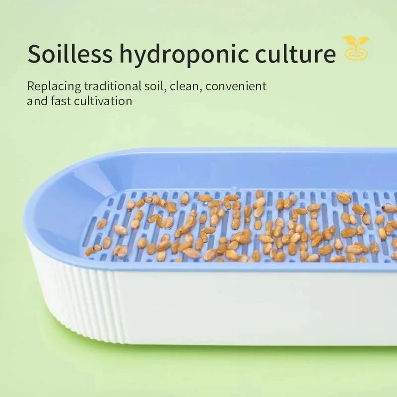 Hydroponic Cat Grass Box Cat Treats Catnip Hydroponic Soilless