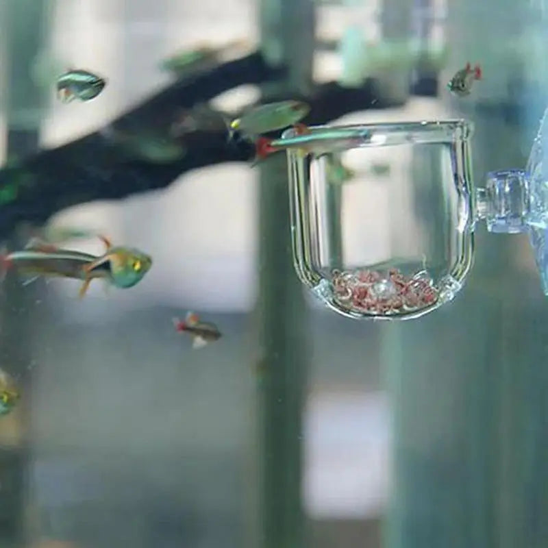 Aquarium Decoration Plant Cup Pot Acrylic Aquatic Plant Cup With