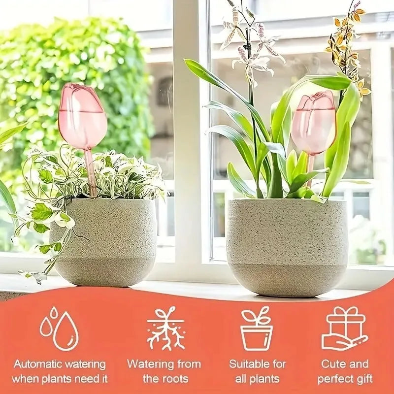 Pink tulip plant watering balls, suitable for indoor and outdoor