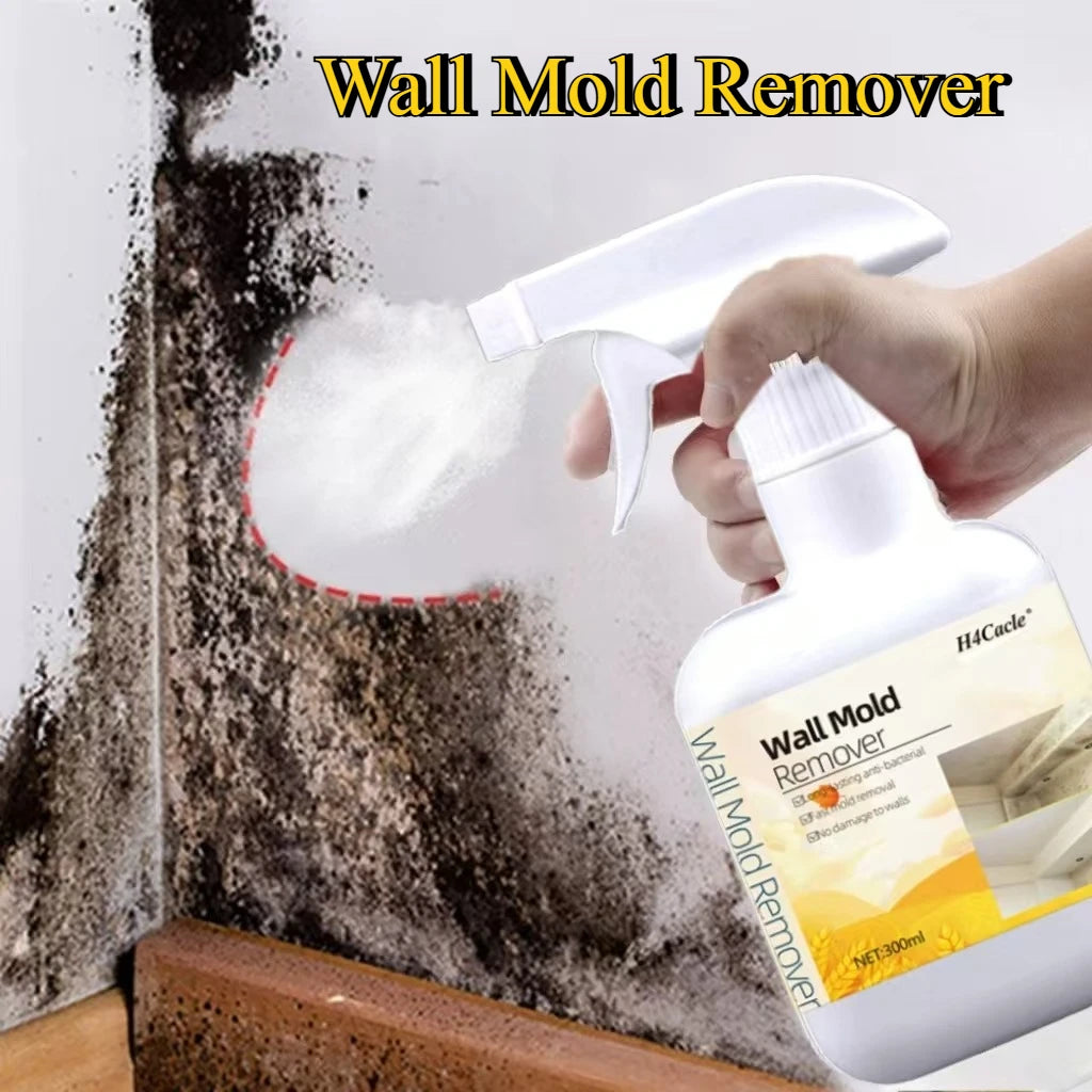 Mold Remover Spray Prevent Fungus Furniture Tile Wall Stains Removal