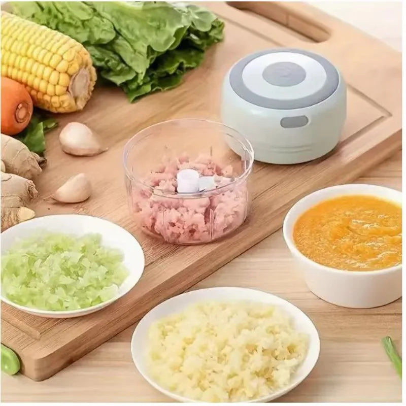 250ML Electric Garlic Grinder Household Multifunctional Meat Grinder