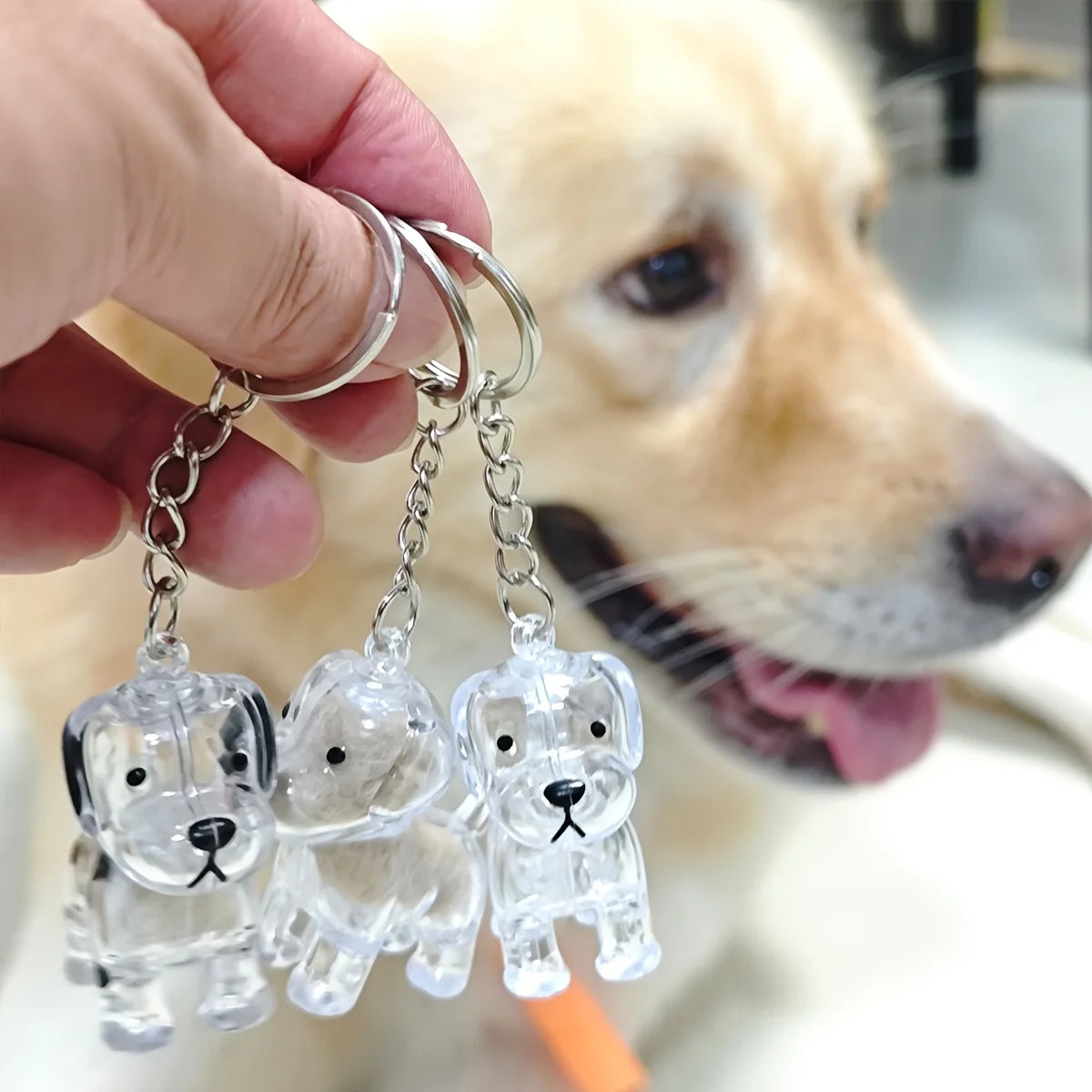 Transparent Dog Hair Storage Container Adorable Pet Keepsake Capsule
