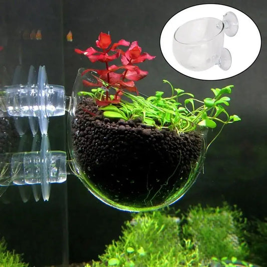 Aquarium Decoration Plant Cup Pot Acrylic Aquatic Plant Cup With