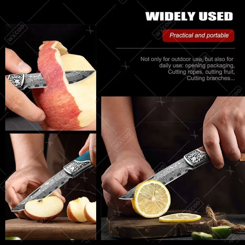WXCOO Damascus Boning Knife Folding Fruit Cutting Knife Chef's Knife