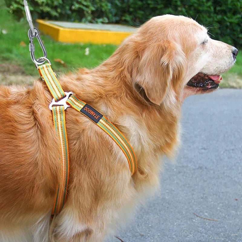 Double-headed Dog Tie Out Cable Leash ,raction rope with metal buckle