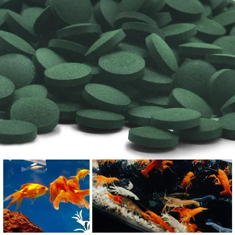 100pcs High Purity Spirulina Tablets Spiral Seaweed Enrichment