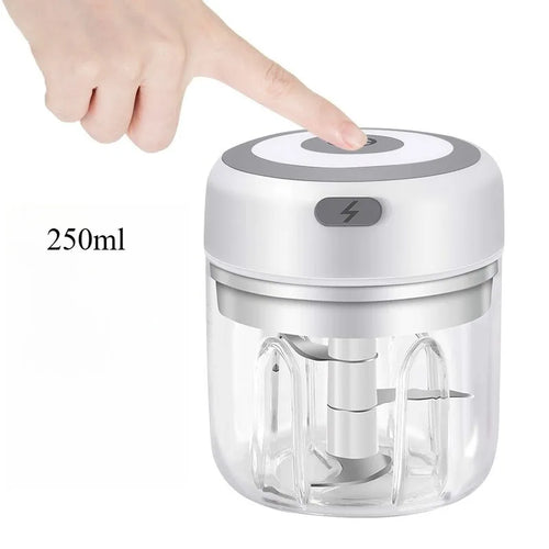 250ML Electric Garlic Grinder Household Multifunctional Meat Grinder