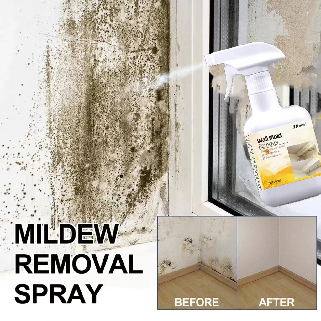 Mold Remover Spray Prevent Fungus Furniture Tile Wall Stains Removal