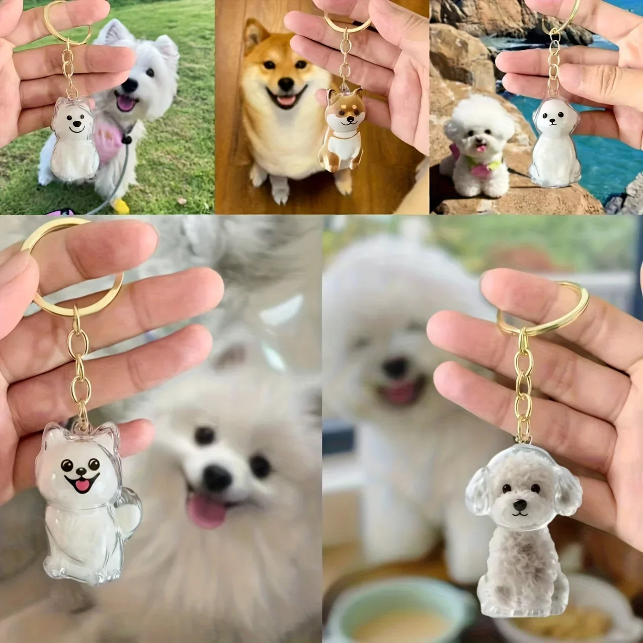 Transparent Dog Hair Storage Container Adorable Pet Keepsake Capsule