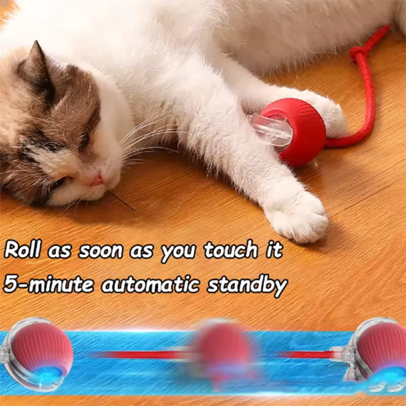 Hot cat toys are automatically teasing cat balls and self-exciting cat