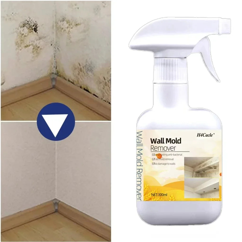 Mold Remover Spray Prevent Fungus Furniture Tile Wall Stains Removal