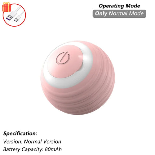 Indoor Interactive Birds Toy for Cat Chasing Teasing Toy Sounding