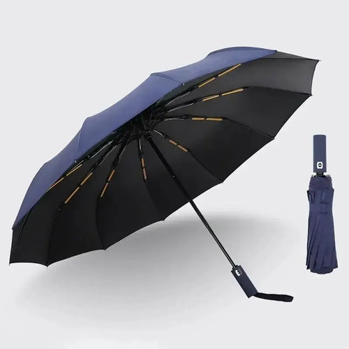 12 Bone Black Glue Fully Automatic Umbrella With Thick And Durable