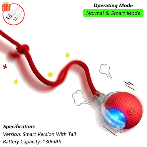 Indoor Interactive Birds Toy for Cat Chasing Teasing Toy Sounding