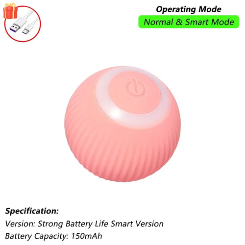 Indoor Interactive Birds Toy for Cat Chasing Teasing Toy Sounding