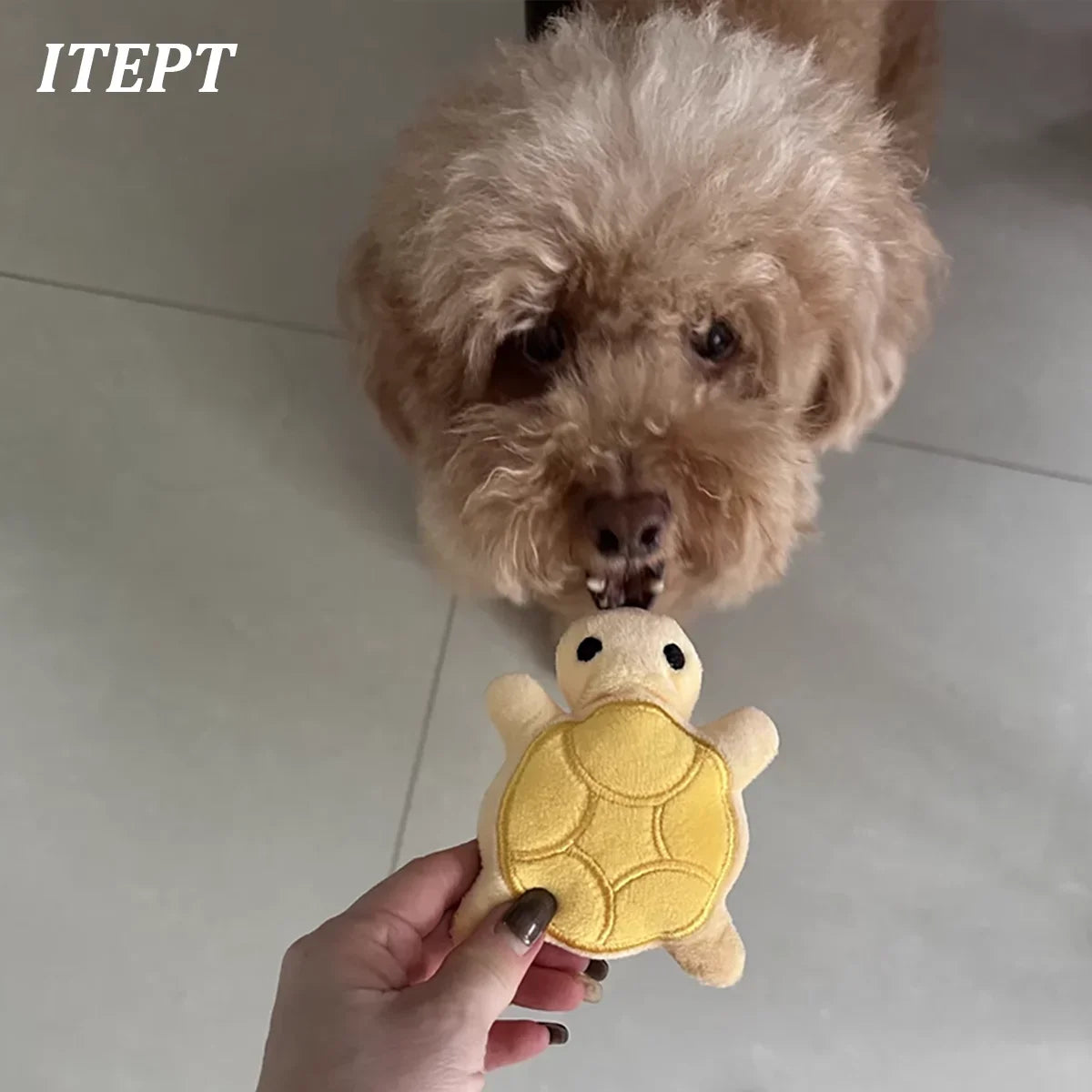 Dog Toy Mini Turtle Plush Chew Toy for Puppies Teething Relief