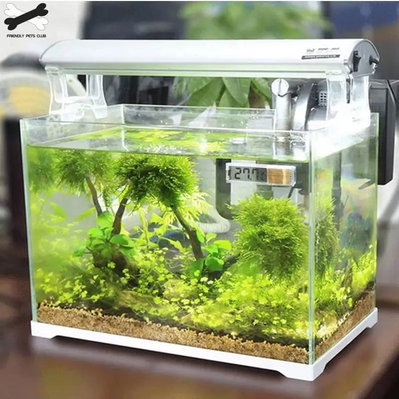 Digital Electronic Aquarium Thermometer, Plastic, Metal, 3D, Fish Tank
