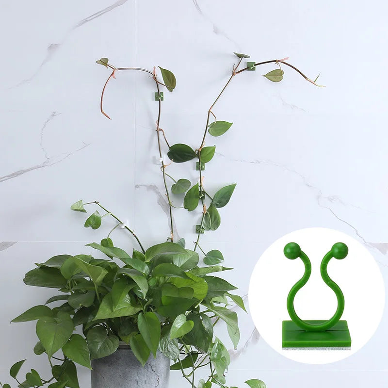 100pcs-Home Garden Plant Climbing Wall Fixture Clips Rattan Vine Fixer