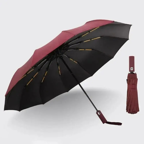 12 Bone Black Glue Fully Automatic Umbrella With Thick And Durable