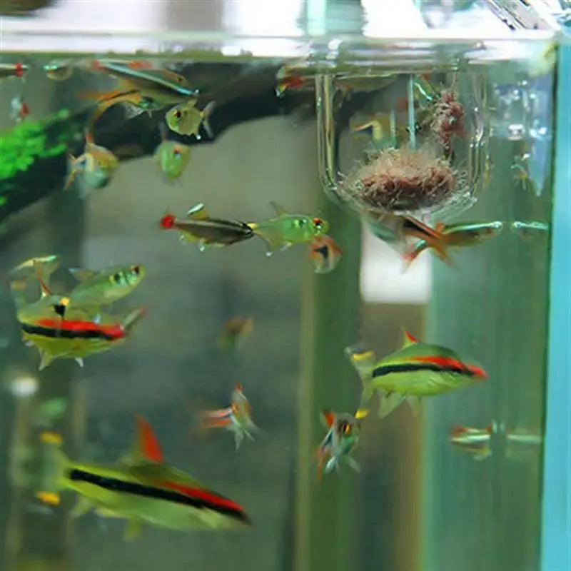 Aquarium Decoration Plant Cup Pot Acrylic Aquatic Plant Cup With