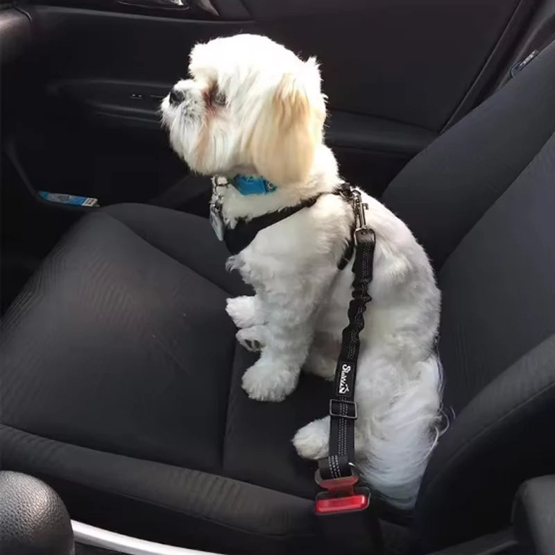 Hot Dog Car Safety Belt Dog Safety Belt with Damping Belt and