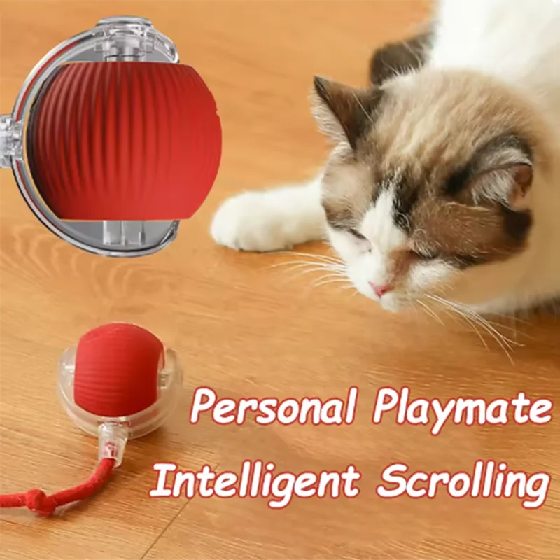 Hot cat toys are automatically teasing cat balls and self-exciting cat