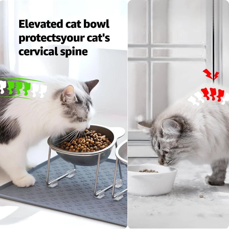 ‌304 Stainless Steel Raised Cat Bowl with 15° Elevated Design Tilted