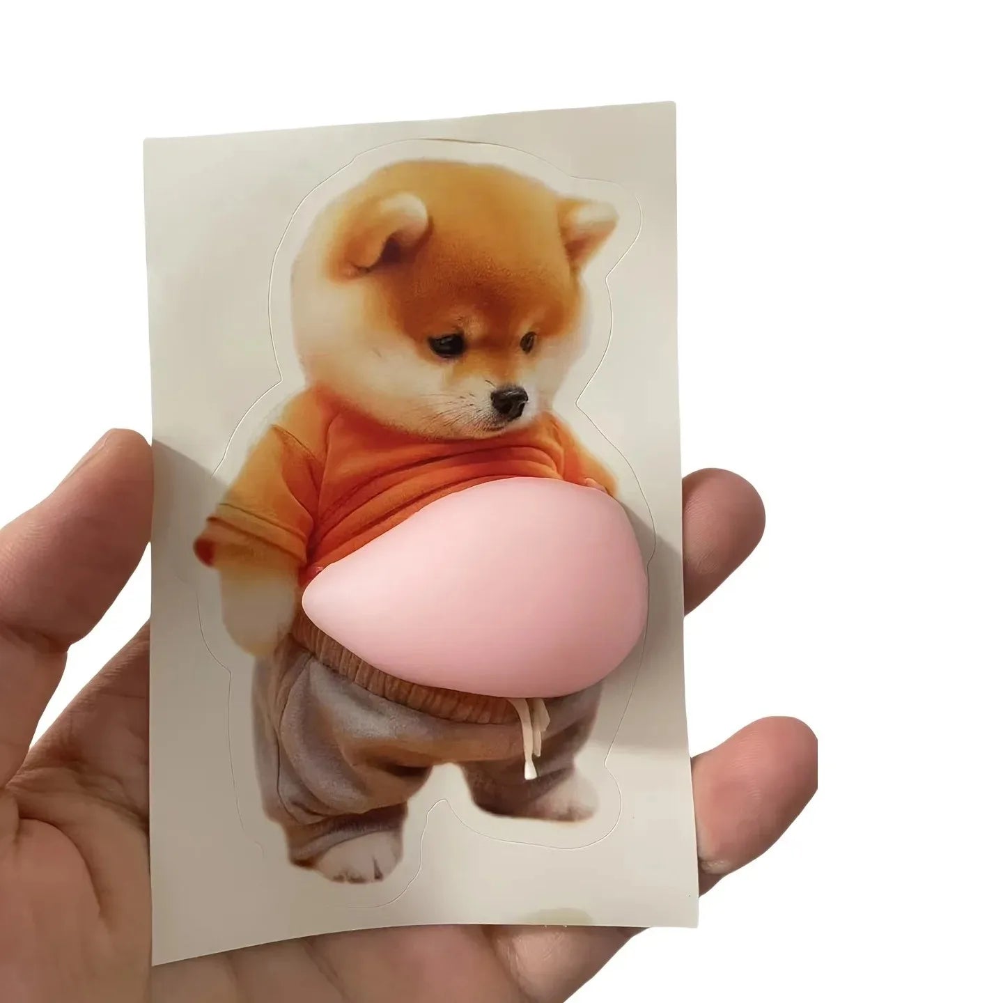 3D Shiba Inu Dog Belly Sticker - Cute puppy wearing orange outfit with