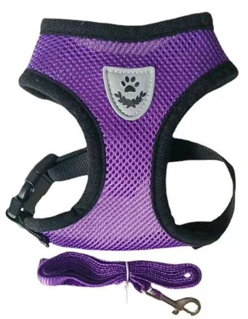 Cat Dog Harness with Lead Leash Adjustable Vest Polyester Mesh
