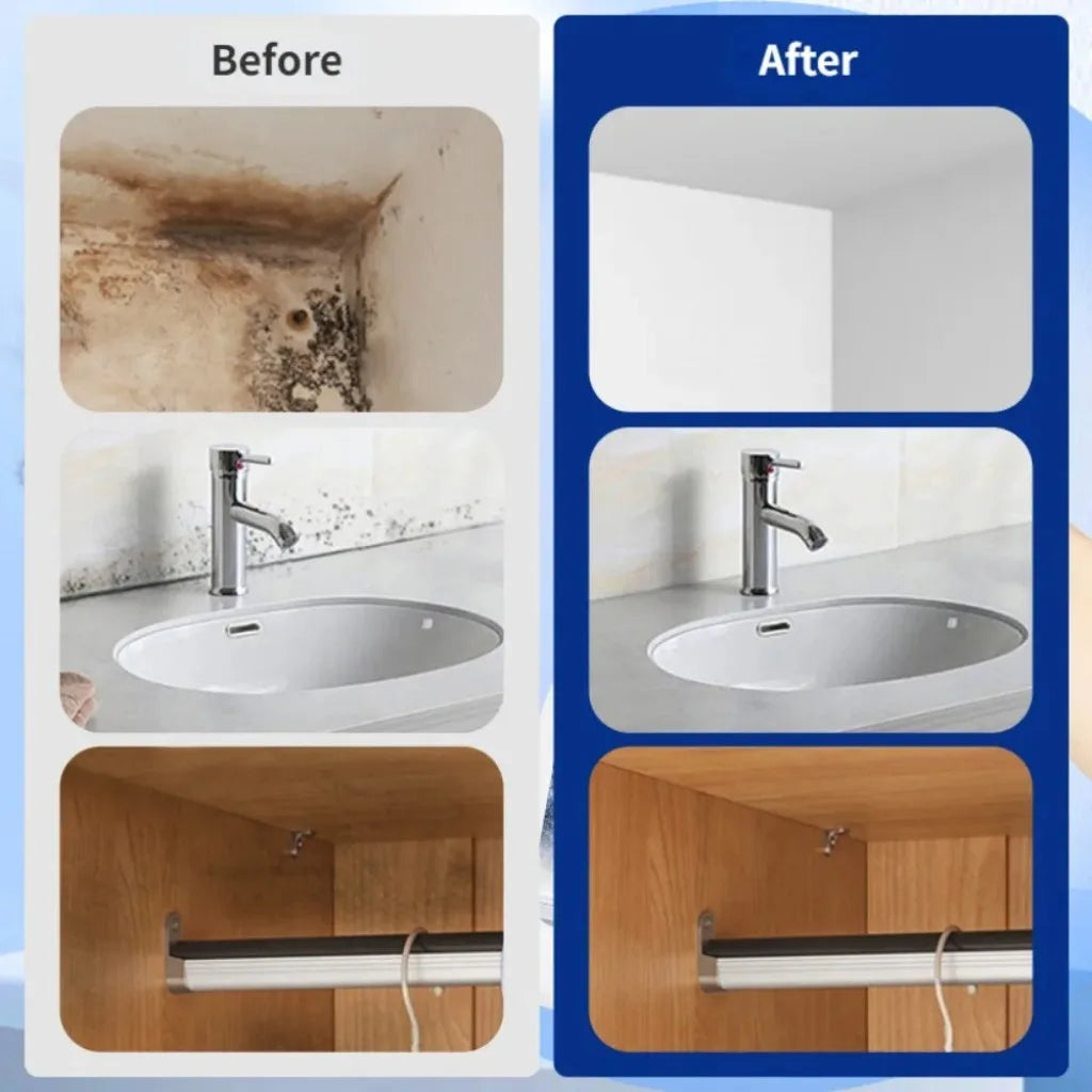 Mold Remover Spray Prevent Fungus Furniture Tile Wall Stains Removal