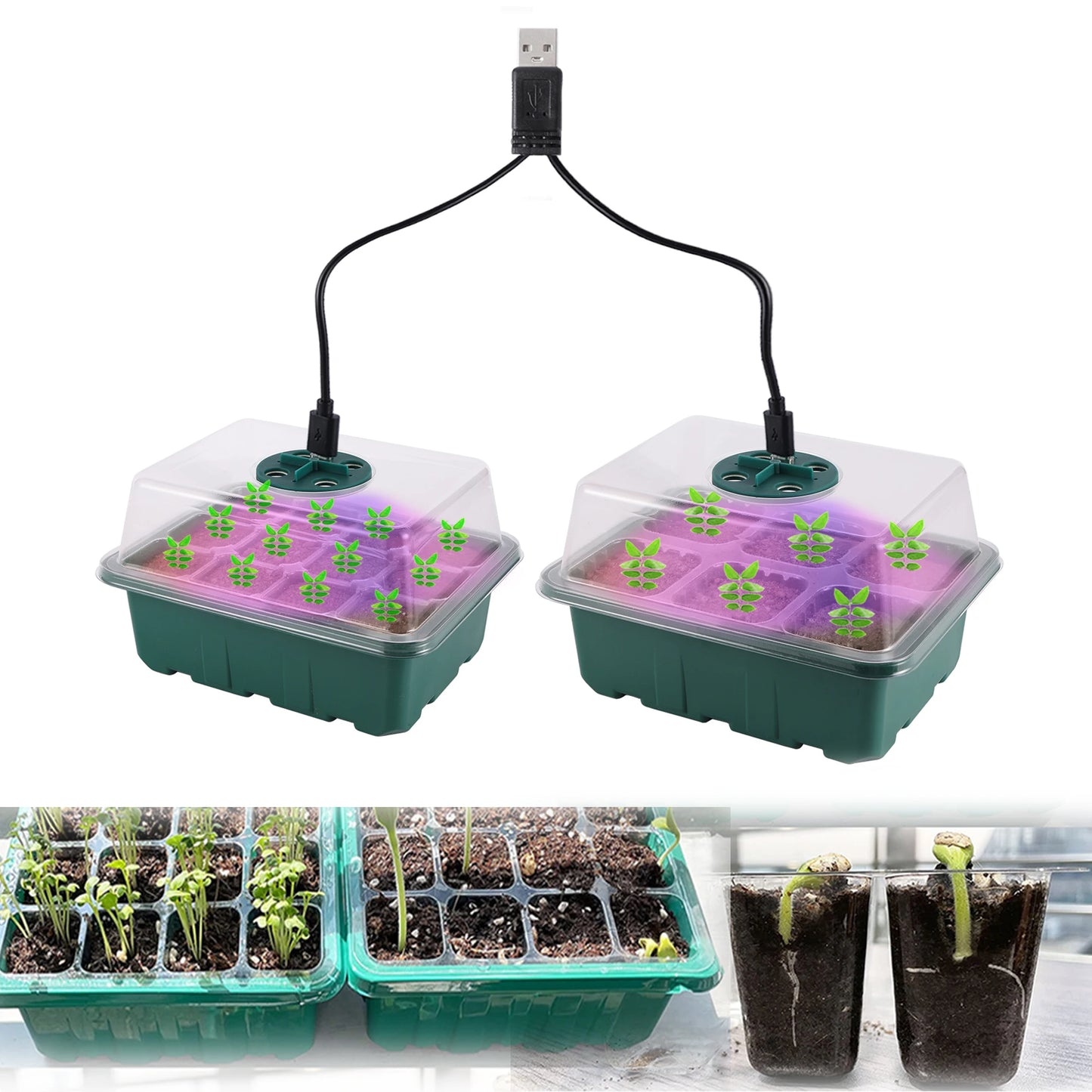 Seed Starter Tray Box With LED Grow Light Nursery Pot Seedling