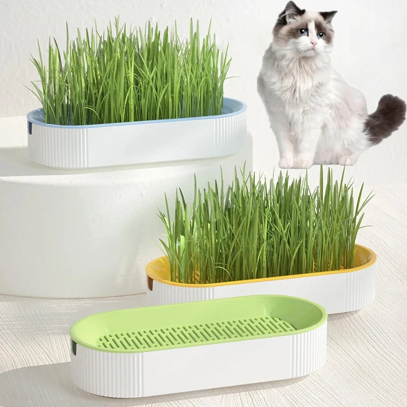 Hydroponic Cat Grass Box Cat Treats Catnip Hydroponic Soilless