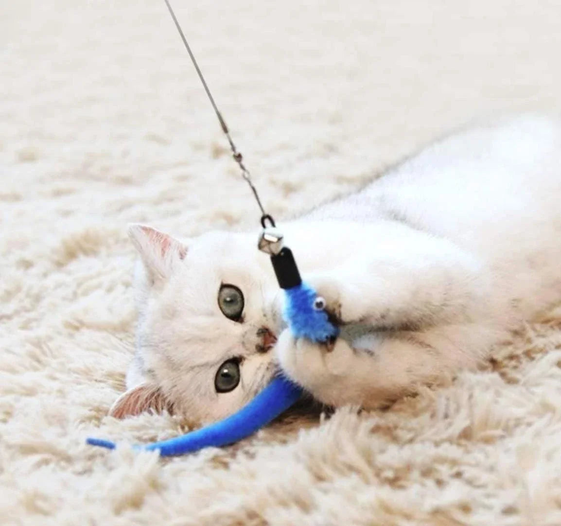 11pcs Replacement Cat Feather Toy Set Feather Replacement Head
