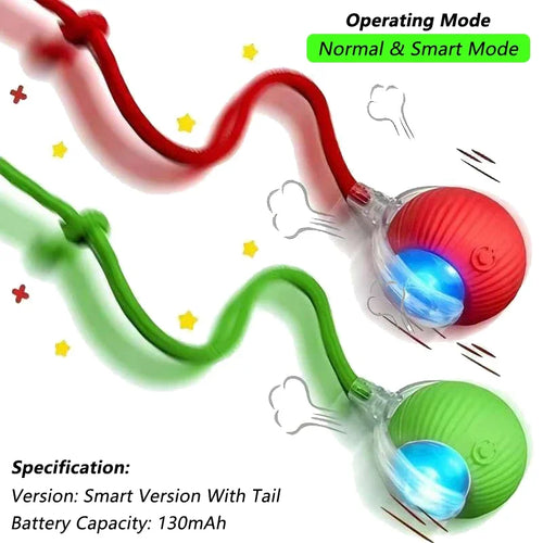Indoor Interactive Birds Toy for Cat Chasing Teasing Toy Sounding