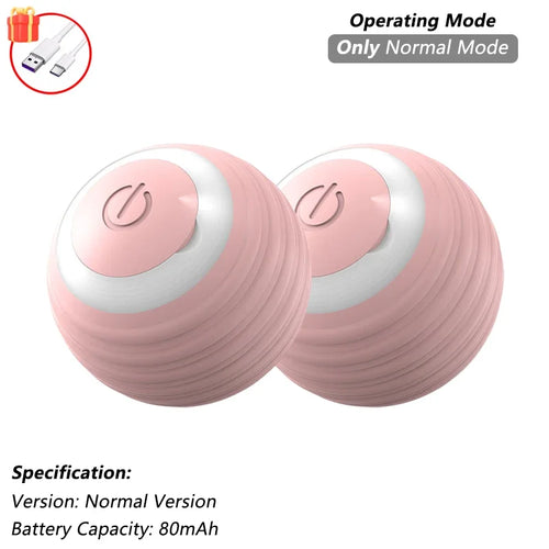 Indoor Interactive Birds Toy for Cat Chasing Teasing Toy Sounding