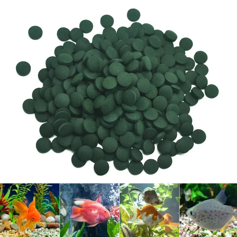 100pcs High Purity Spirulina Tablets Spiral Seaweed Enrichment