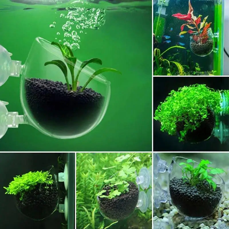 Aquarium Decoration Plant Cup Pot Acrylic Aquatic Plant Cup With