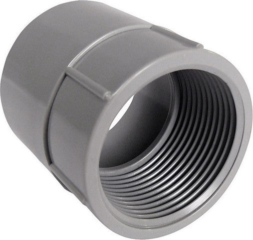 Cantex 5140046C 1.25 in. PVC Female Adapter