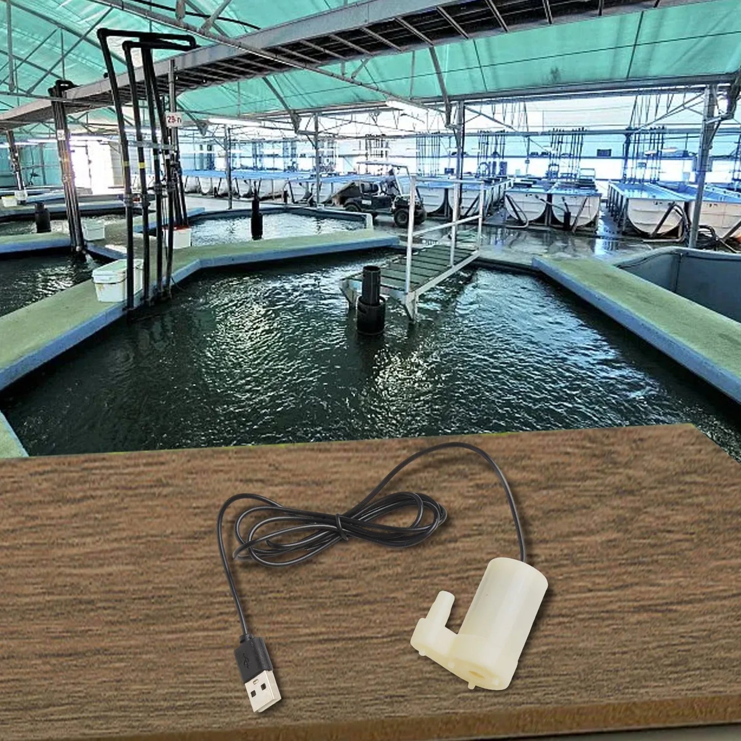 Powerful Brushless Water Pump for Cooling System Fountains Copper Resin Sealing Suitable for Various Scenarios