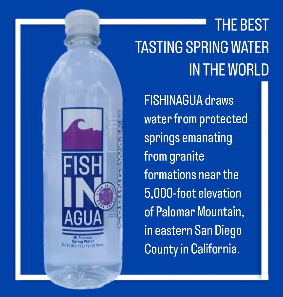 FISHINAGUA Bottled Natural Spring Water 23.7 FL OZ