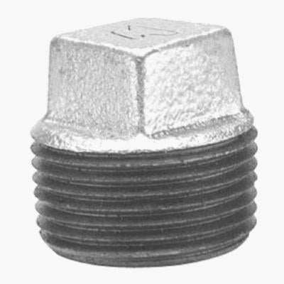 Anvil International 8700159703 .13 in. Galvanized Square Head Plug